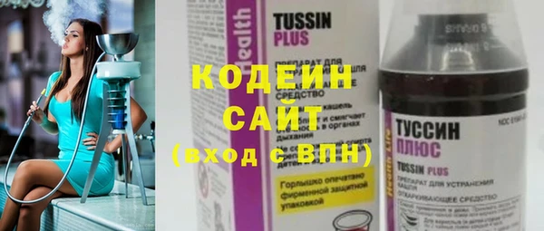 амф Козельск
