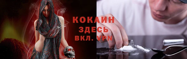 стаф Кодинск