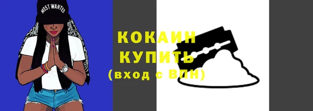амф Козельск