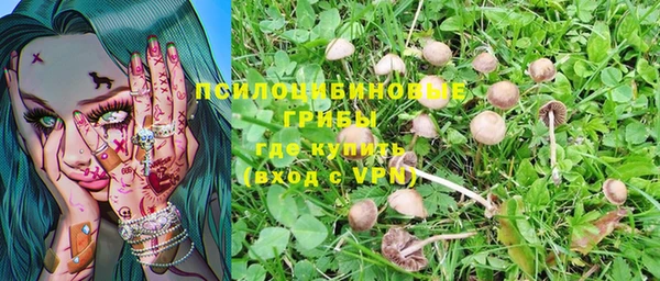 стаф Кодинск