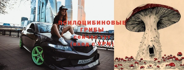 стаф Кодинск