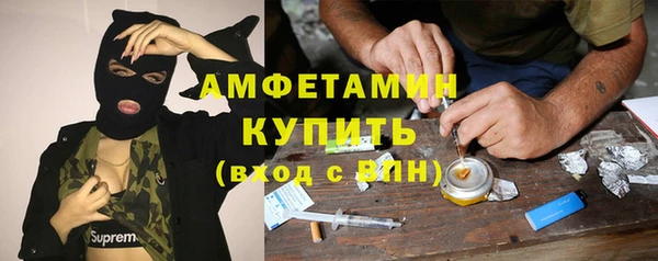 амф Козельск