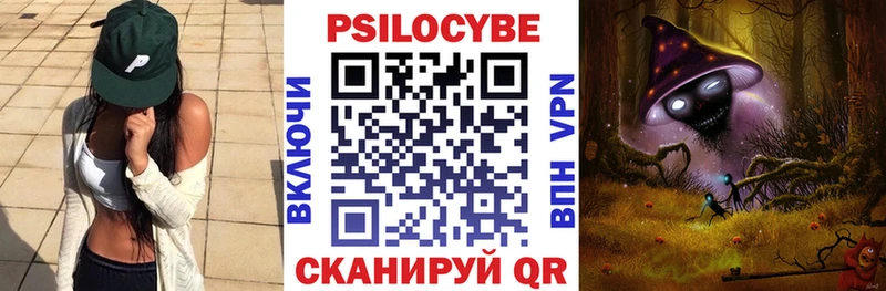 Псилоцибиновые грибы Psilocybe  Купить где  Шлиссельбург 